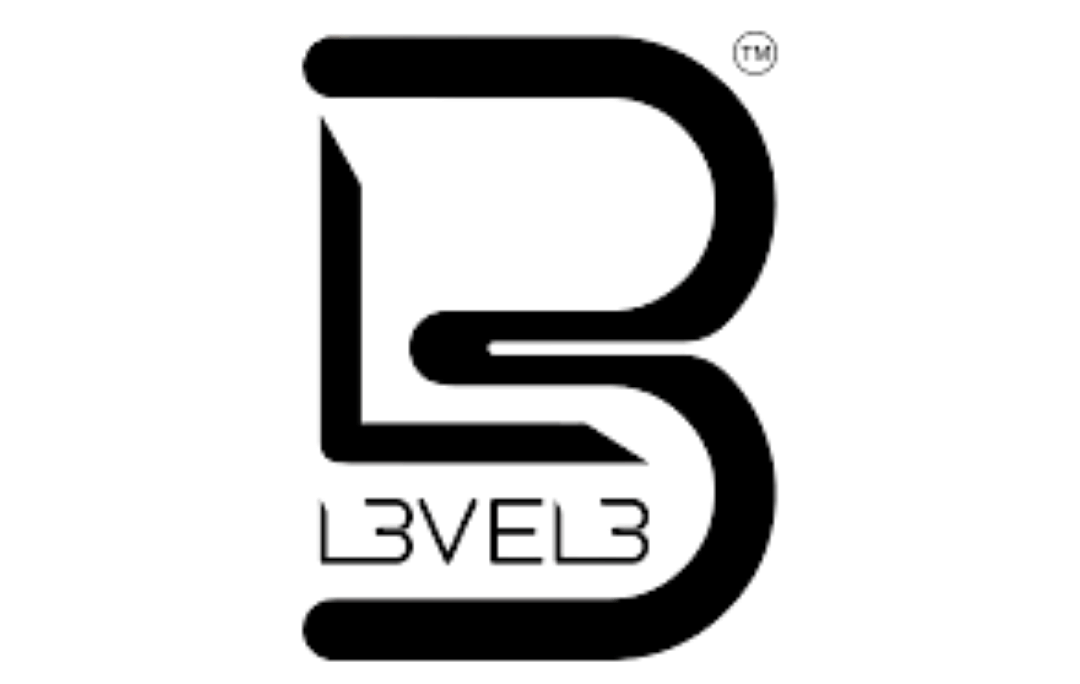 Level 3